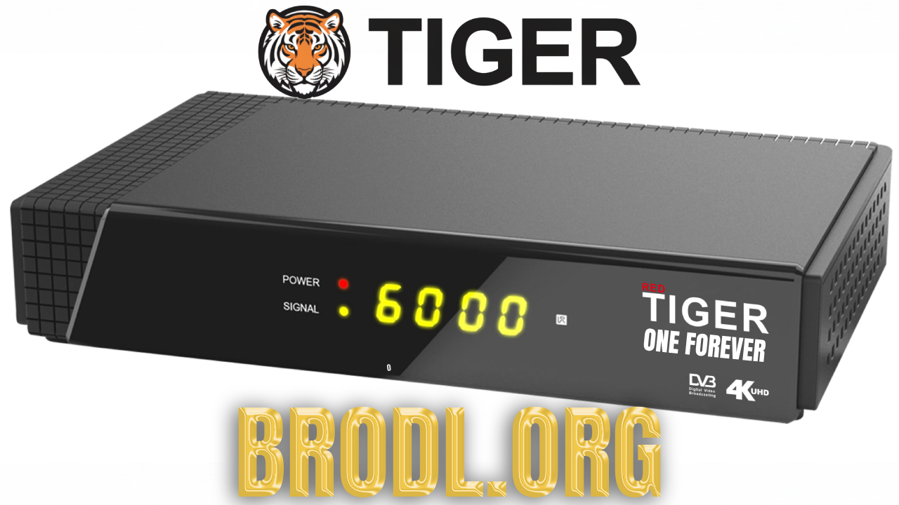 Tiger One Forever