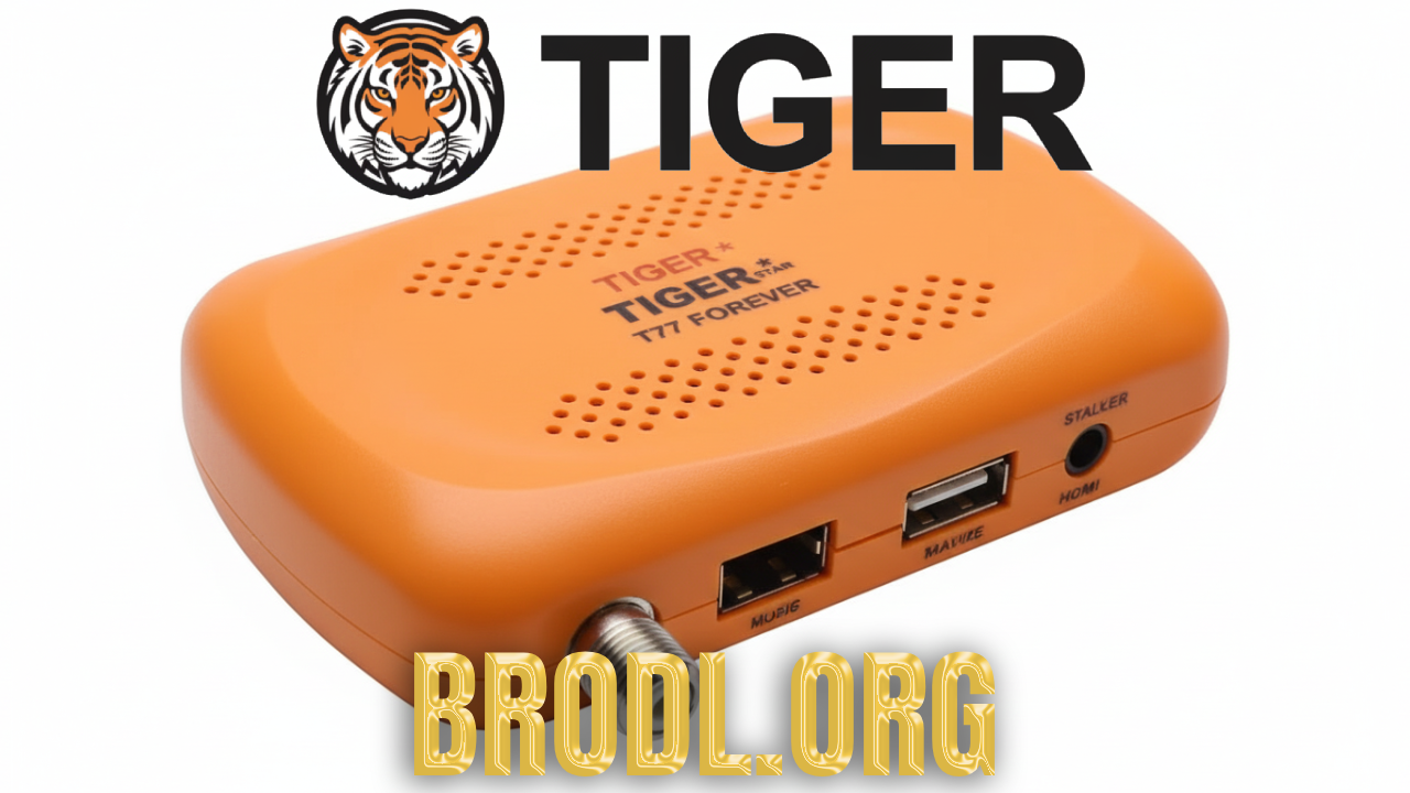 Tiger T77 Forever